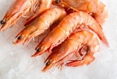 Креветка 31/40 в/м Королевская